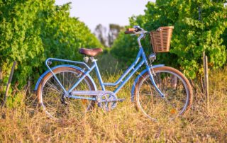 Vélo confort de la marque Beach Bikes