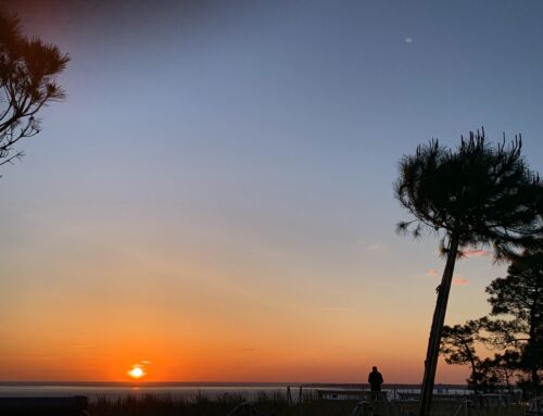 Quelles activités faire sur le bassin d’Arcachon ?