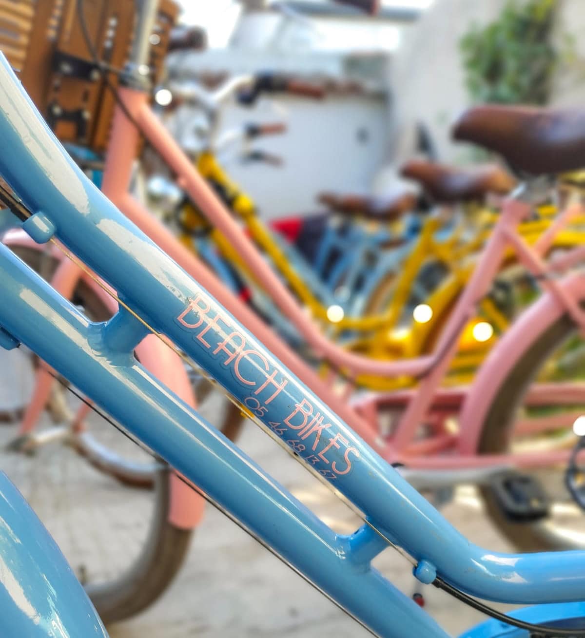 Les vélos de toutes les couleurs chez Beach Bikes à Ars en Ré. vélos beach bikes ars en ré