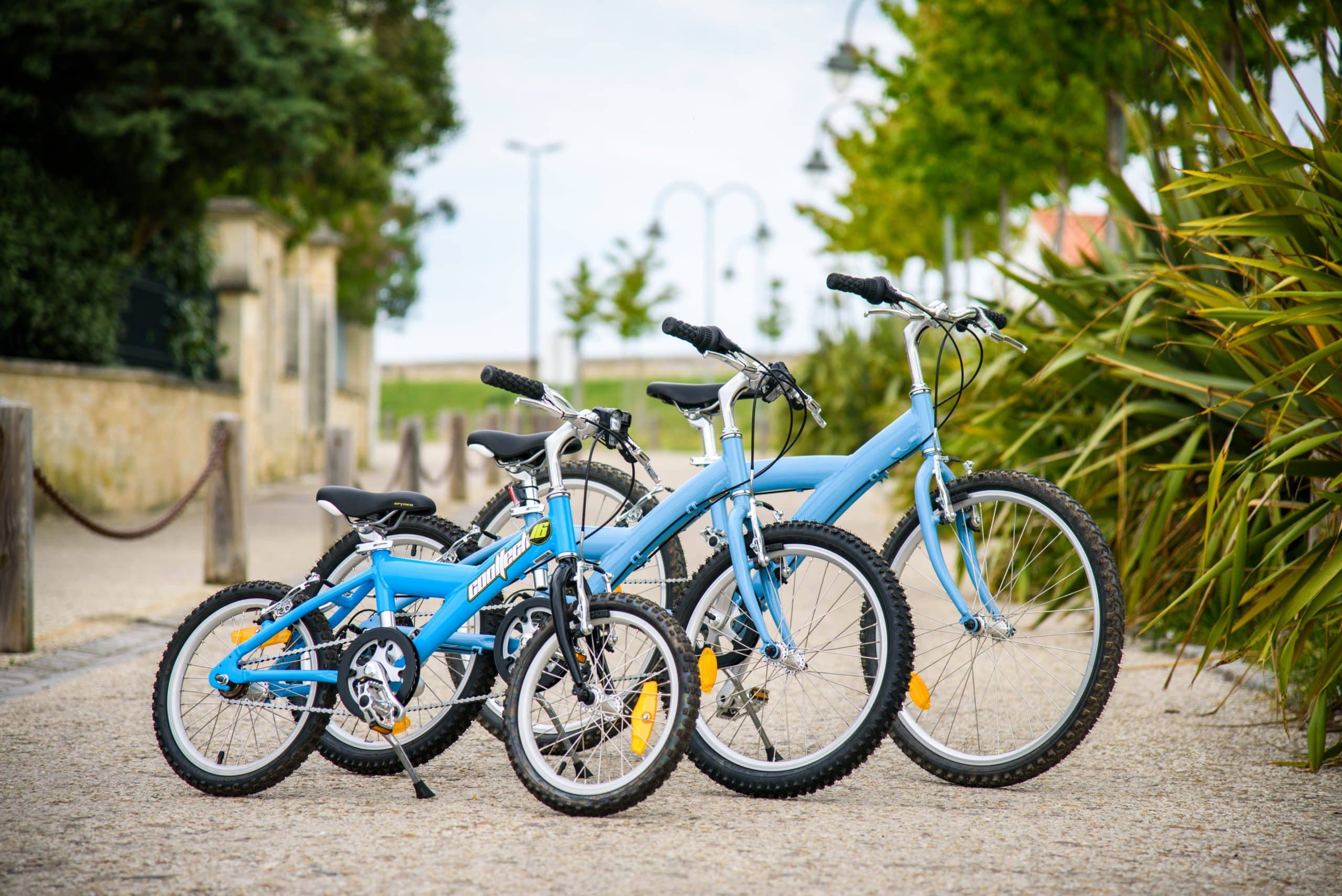 types de vélos loués sur l'ile de Ré