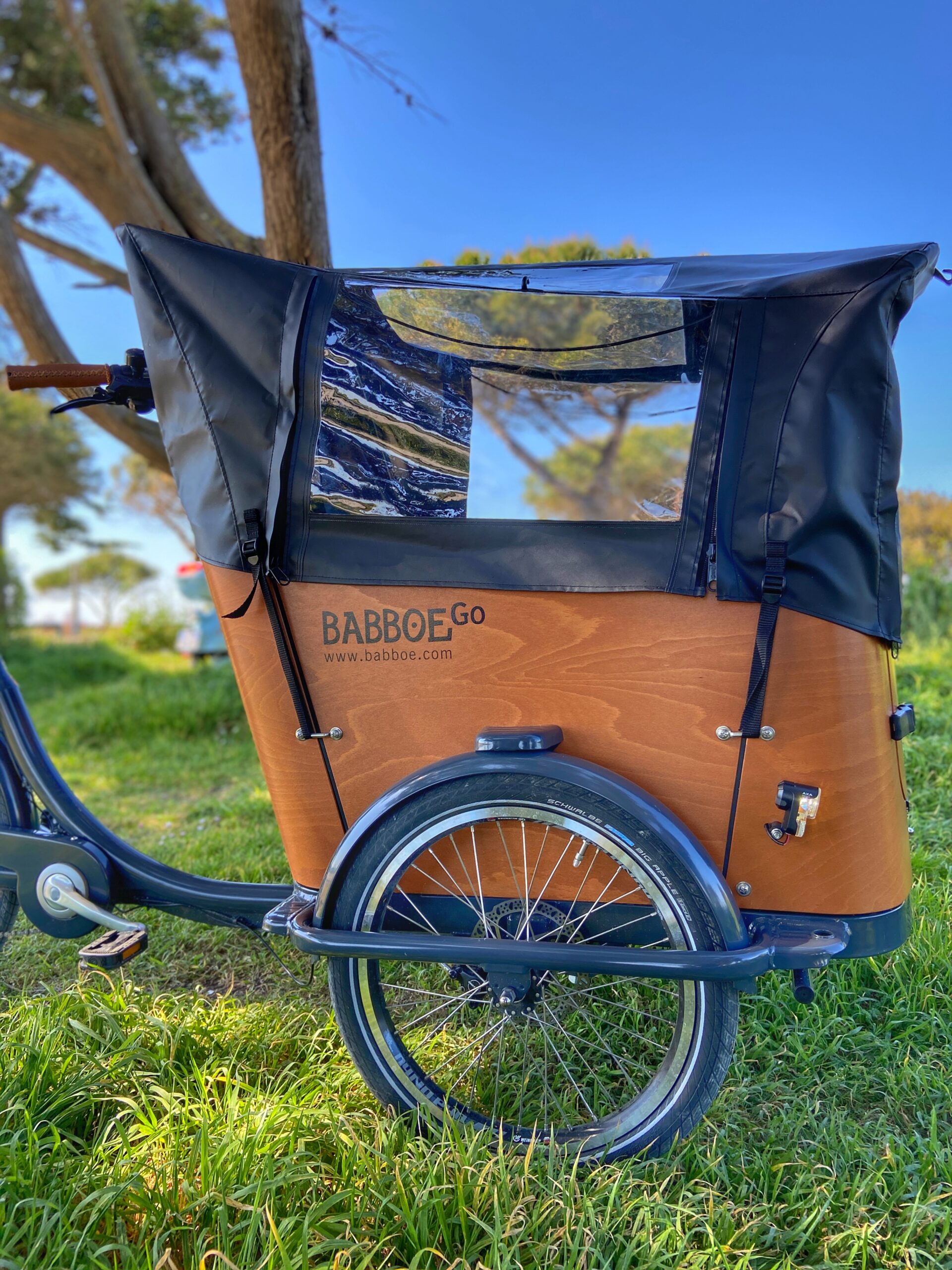 location cargo bike electrique babboe