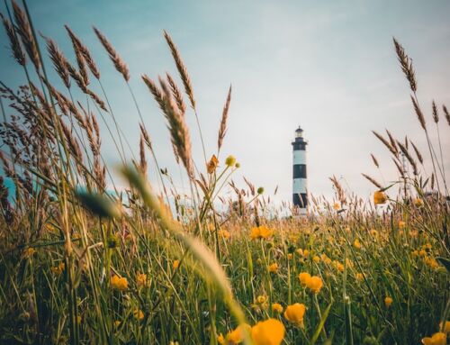 L’île d’Oléron à vélo