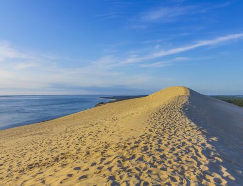 À ne pas manquer sur Arcachon