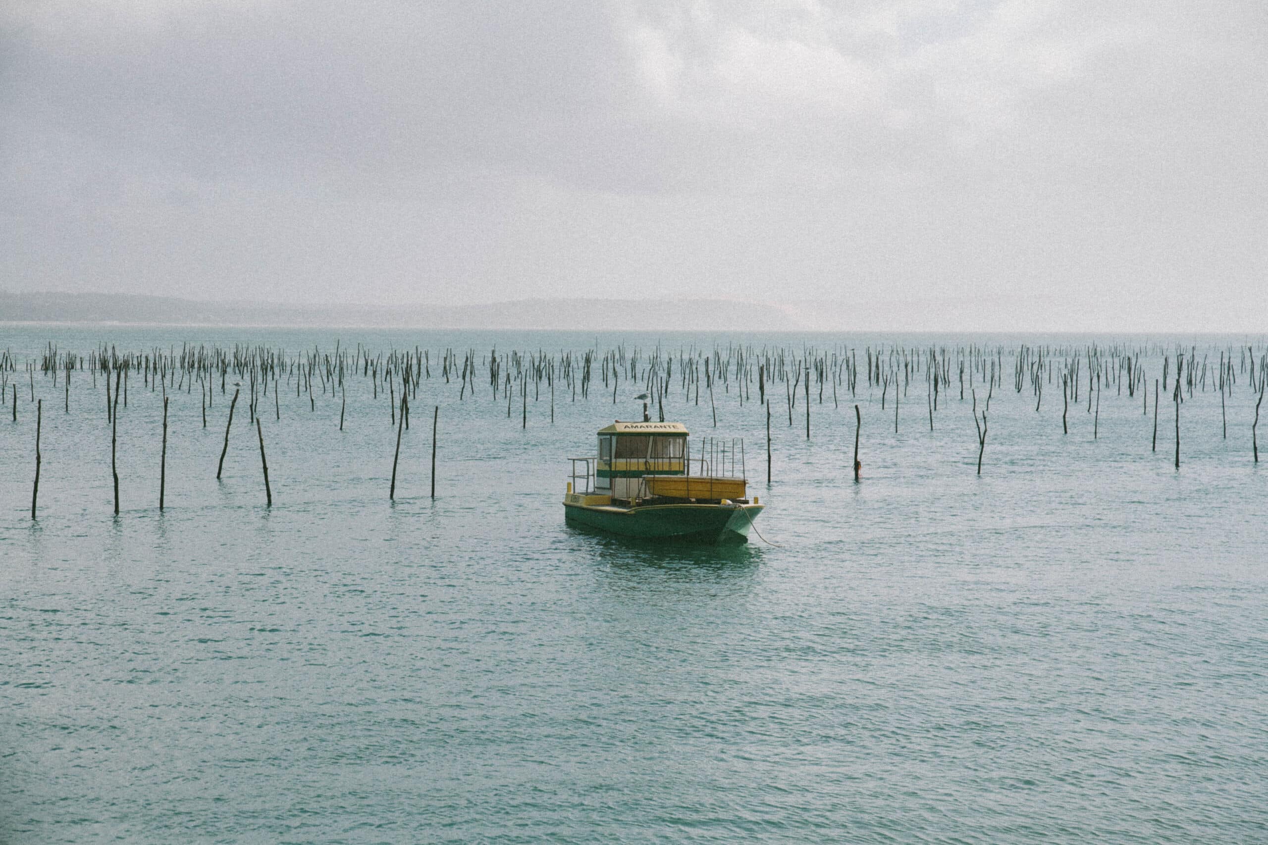 cap ferret bassin