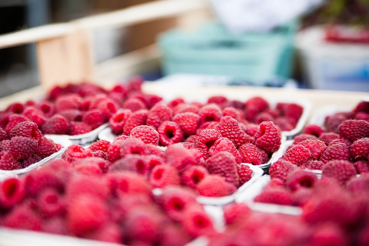 framboise de l’ile de ré framboise de l'ile de ré