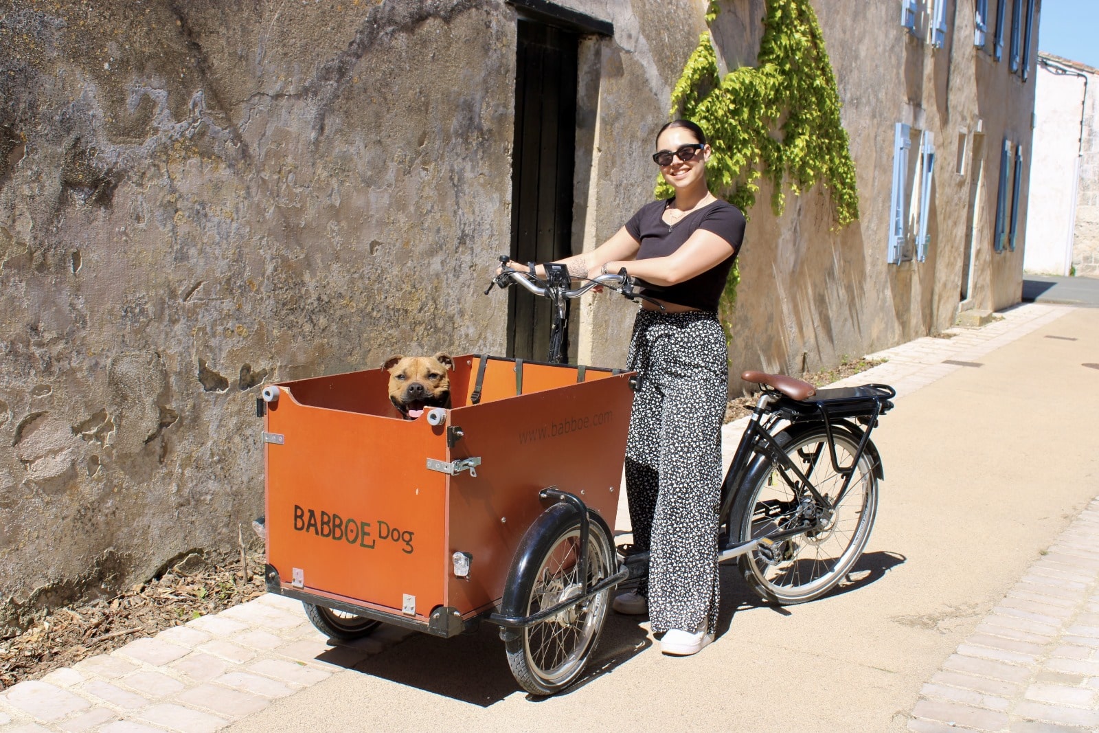 cargo dog achat babboe occasion cargo dog achat babboe occasion