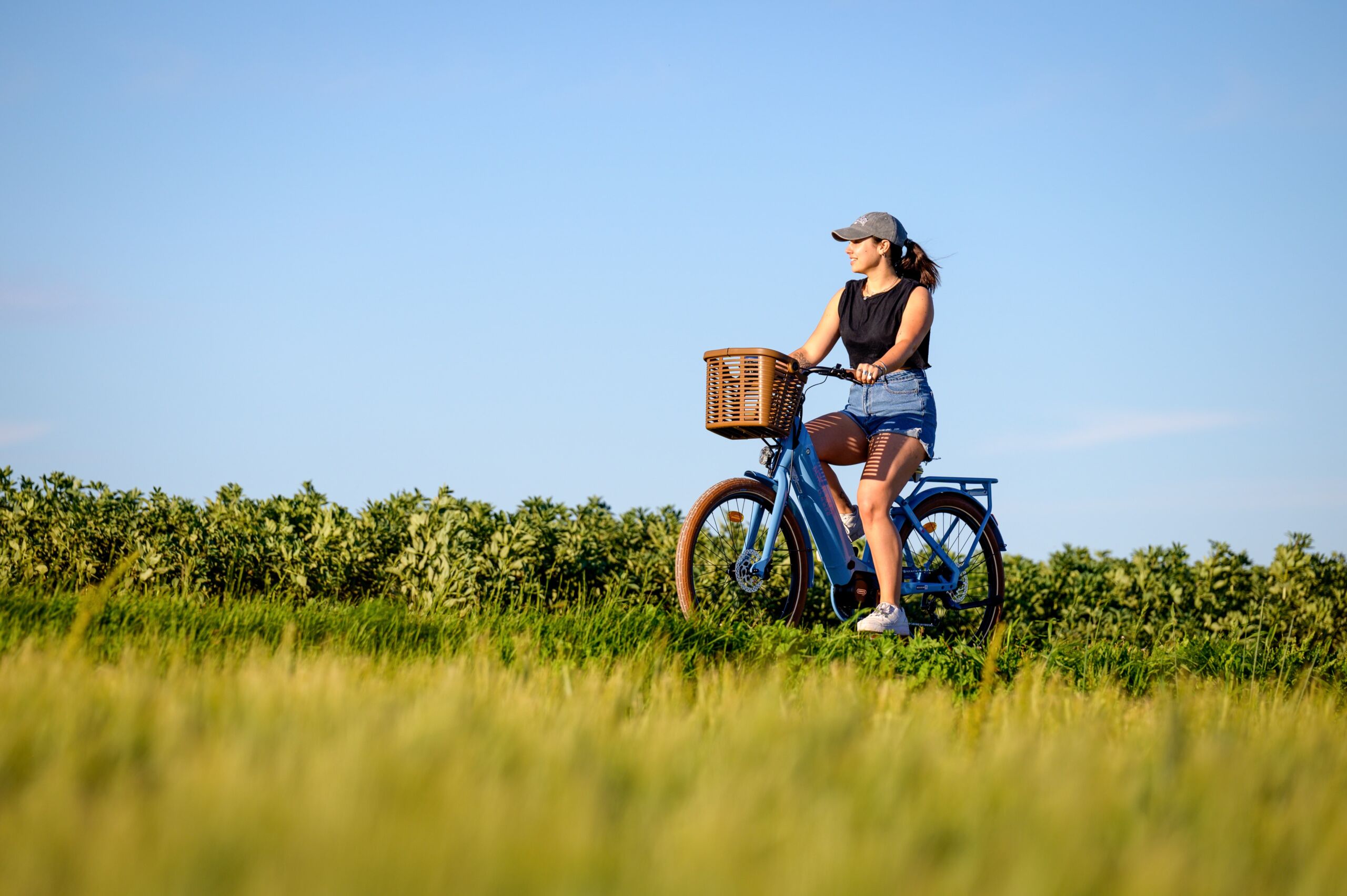 velo beach bikes vignes bois plage