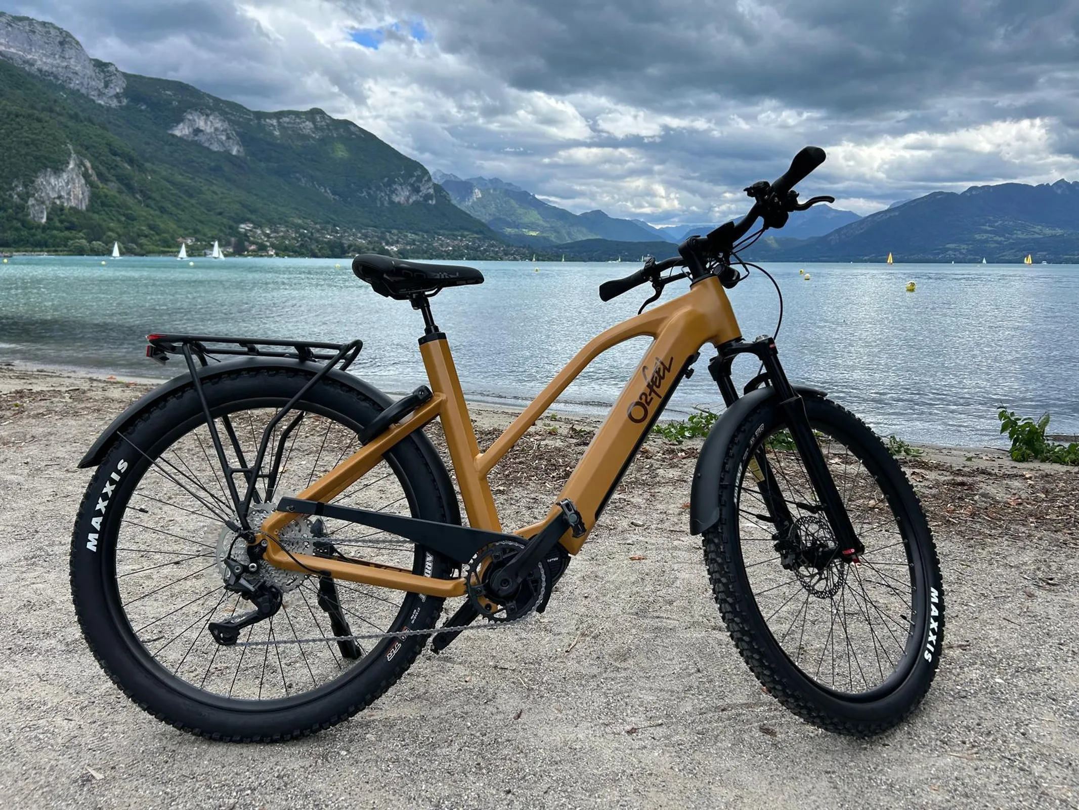 location-vae-annecy